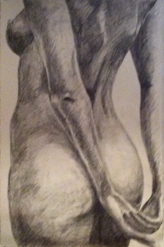 Nude, Graphite on paper by Jayashri Triolo