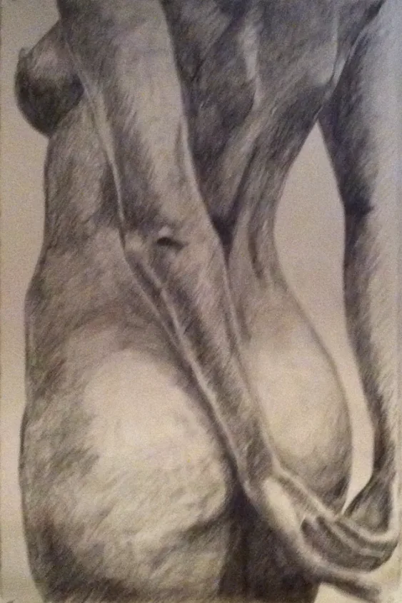 Nude, Graphite on paper by Jayashri Triolo